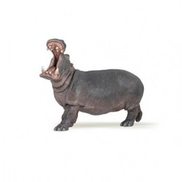 50051