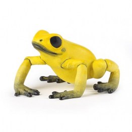50174