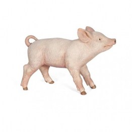 51136