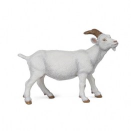 51144