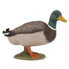 51155