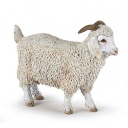 51170