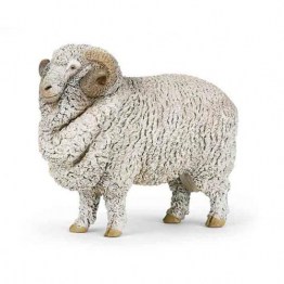 51174