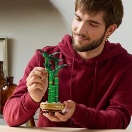 LEGO10344_05