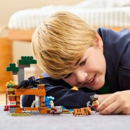 LEGO21269_06