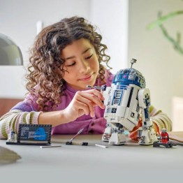 LEGO75379_06