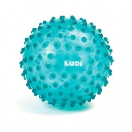 LUDI.30114