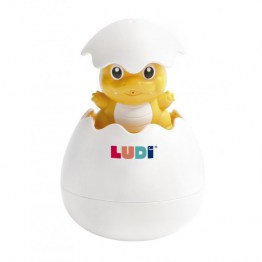 LUDI.40060