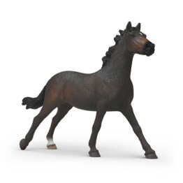 SC.14914